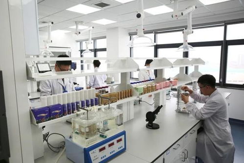 科技賦能研發，鍛造高質量產品——康婷慧科技的技術開發之路